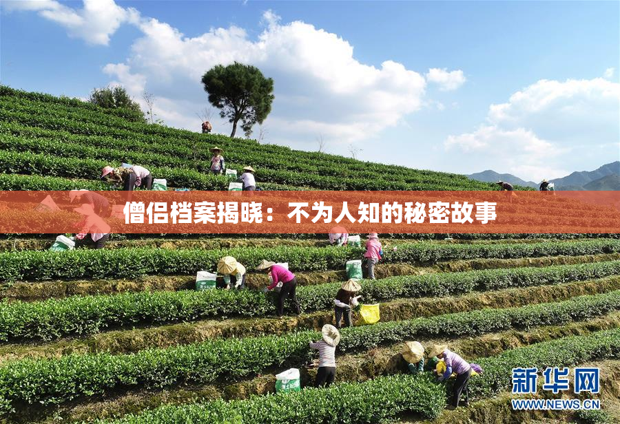 僧侣档案揭晓：不为人知的秘密故事