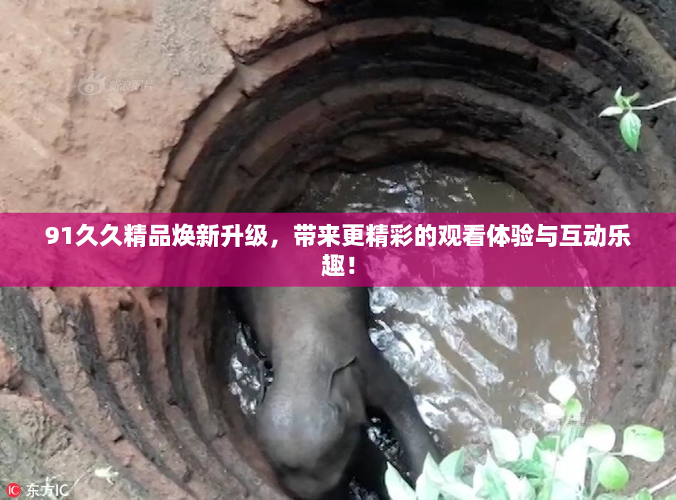 91久久精品焕新升级，带来更精彩的观看体验与互动乐趣！
