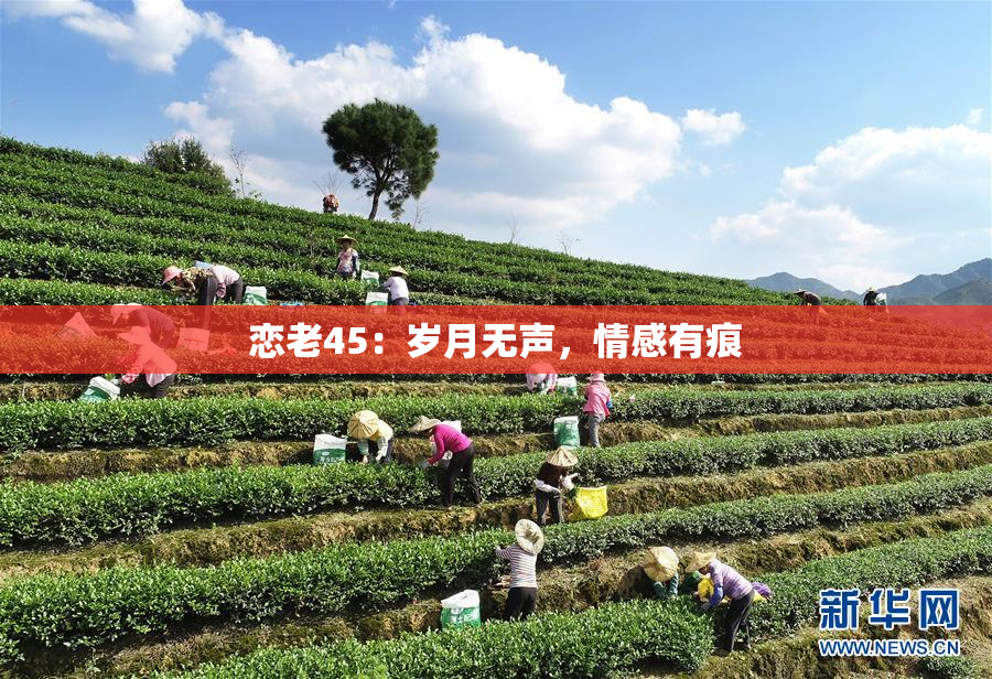 恋老45：岁月无声，情感有痕