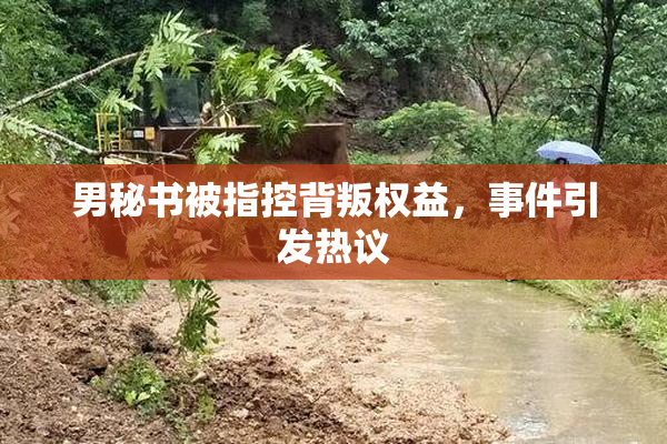 男秘书被指控背叛权益，事件引发热议