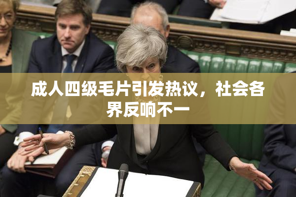 成人四级毛片引发热议，社会各界反响不一