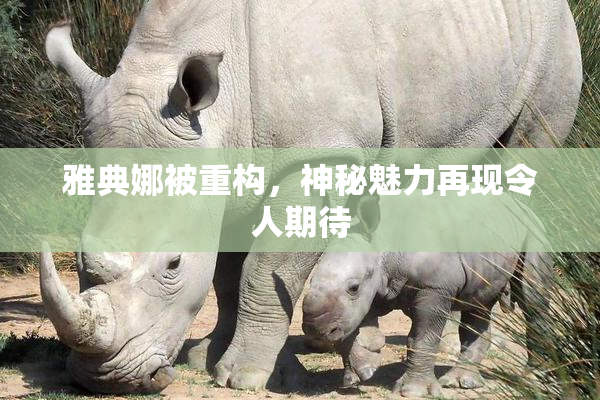 雅典娜被重构，神秘魅力再现令人期待