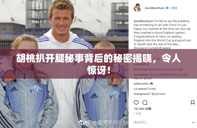 胡桃扒开腿秘事背后的秘密揭晓，令人惊讶！