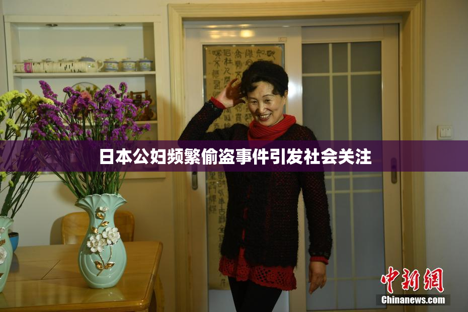 日本公妇频繁偷盗事件引发社会关注