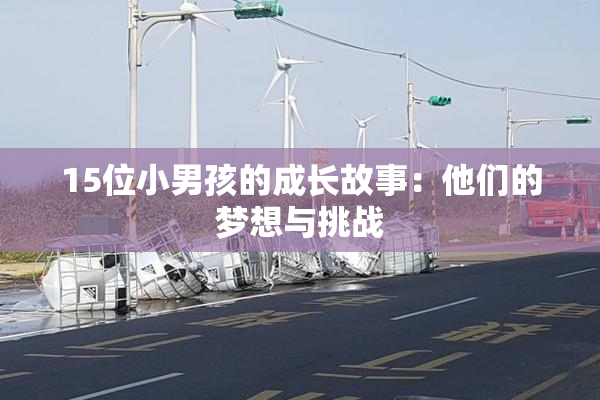 15位小男孩的成长故事：他们的梦想与挑战
