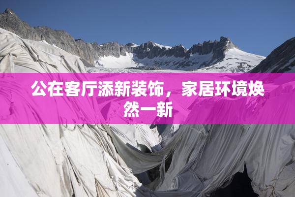 公在客厅添新装饰，家居环境焕然一新