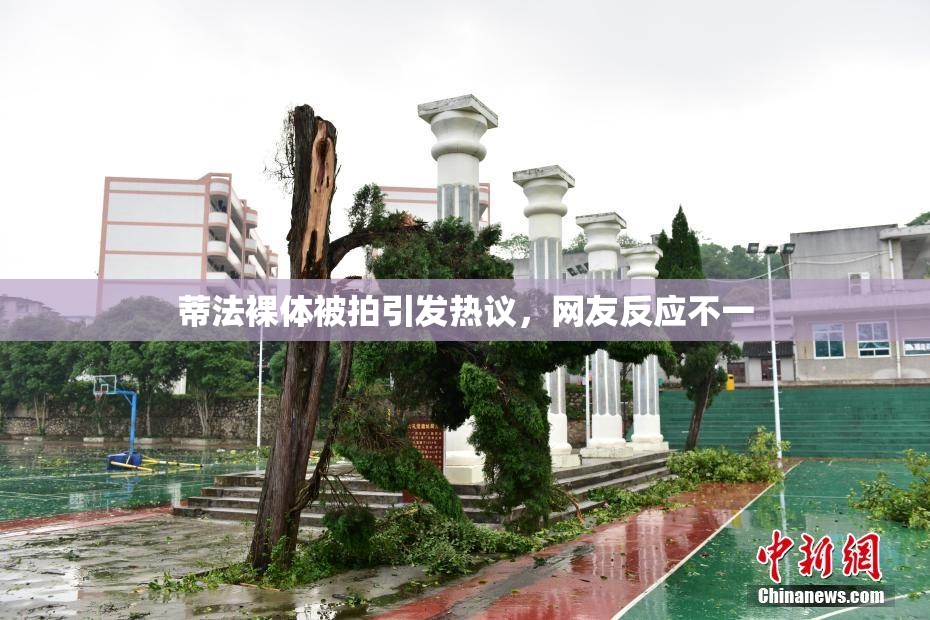 蒂法裸体被拍引发热议，网友反应不一