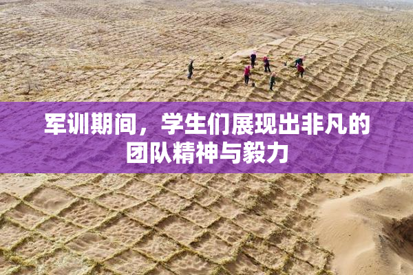 军训期间，学生们展现出非凡的团队精神与毅力