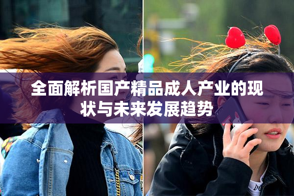 全面解析国产精品成人产业的现状与未来发展趋势