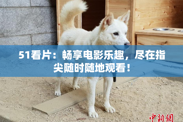 51看片：畅享电影乐趣，尽在指尖随时随地观看！