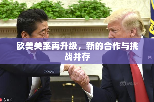 欧美关系再升级，新的合作与挑战并存