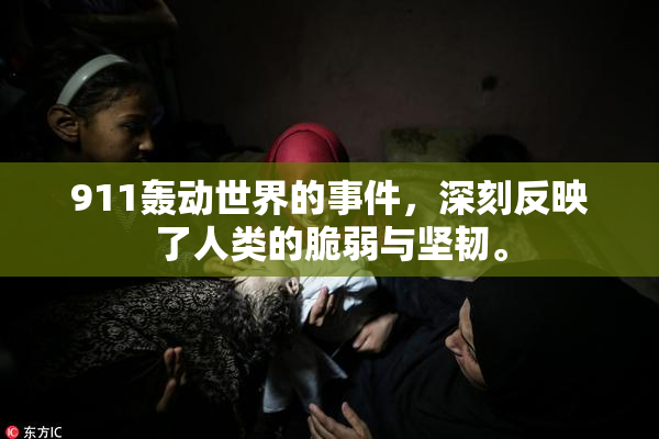 911轰动世界的事件，深刻反映了人类的脆弱与坚韧。
