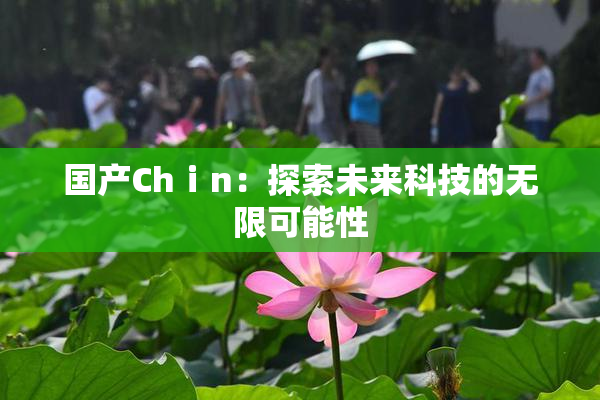 国产Chⅰn：探索未来科技的无限可能性
