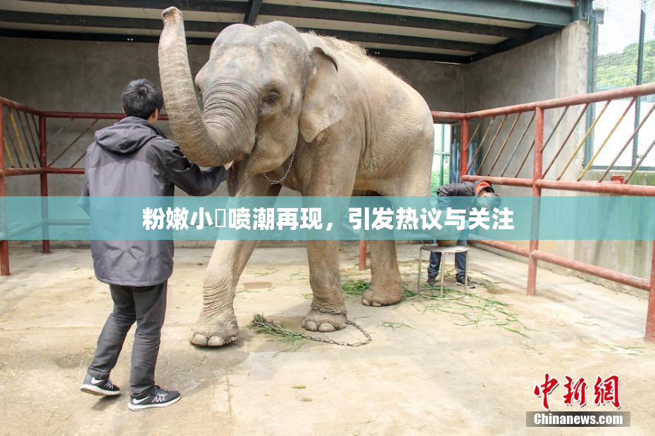 粉嫩小泬喷潮再现，引发热议与关注