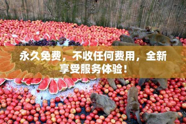 永久免费，不收任何费用，全新享受服务体验！