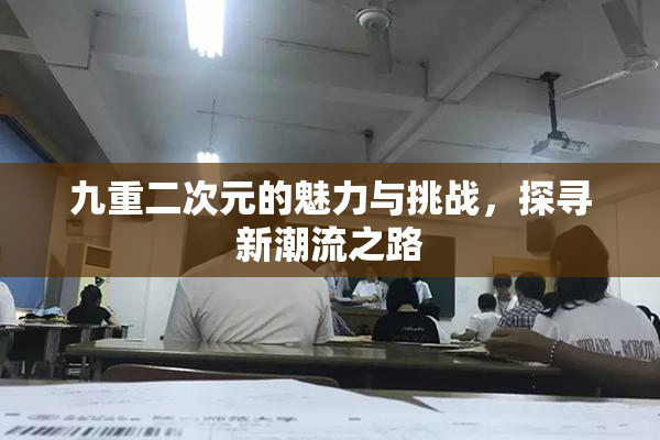九重二次元的魅力与挑战，探寻新潮流之路