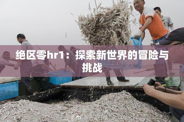 绝区零hr1：探索新世界的冒险与挑战