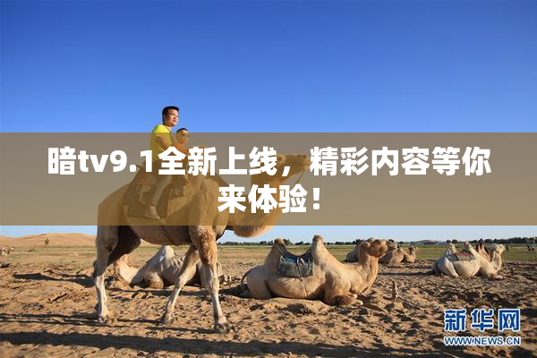 暗tv9.1全新上线，精彩内容等你来体验！