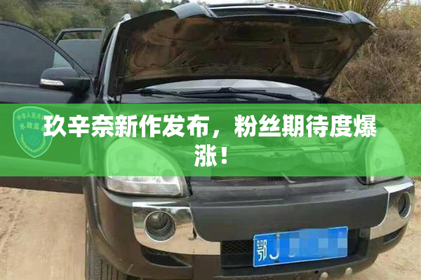 玖辛奈新作发布，粉丝期待度爆涨！