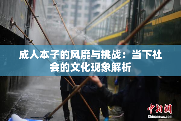 成人本子的风靡与挑战：当下社会的文化现象解析