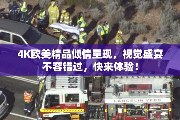 4K欧美精品倾情呈现，视觉盛宴不容错过，快来体验！