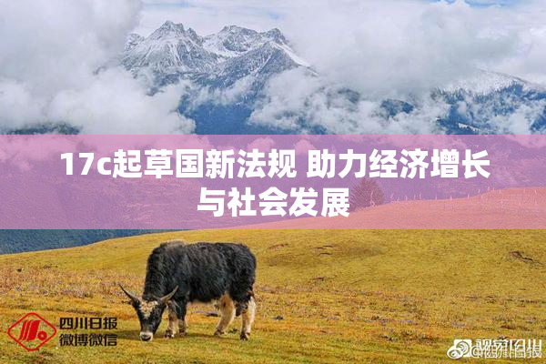17c起草国新法规 助力经济增长与社会发展