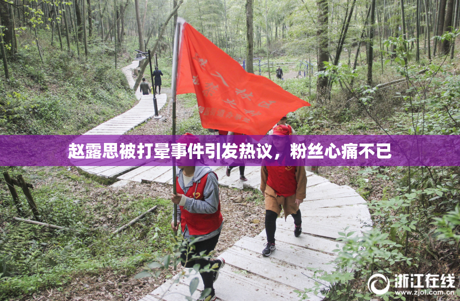 赵露思被打晕事件引发热议，粉丝心痛不已