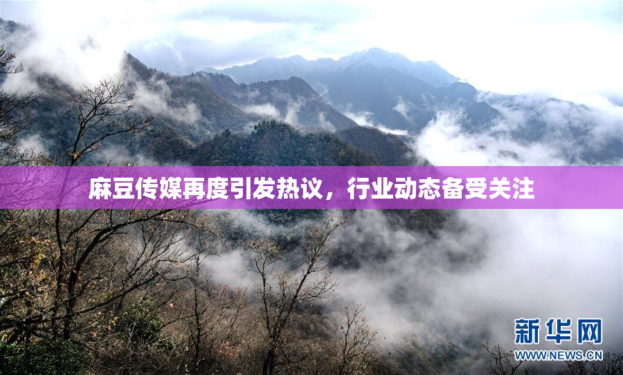 麻豆传媒再度引发热议，行业动态备受关注