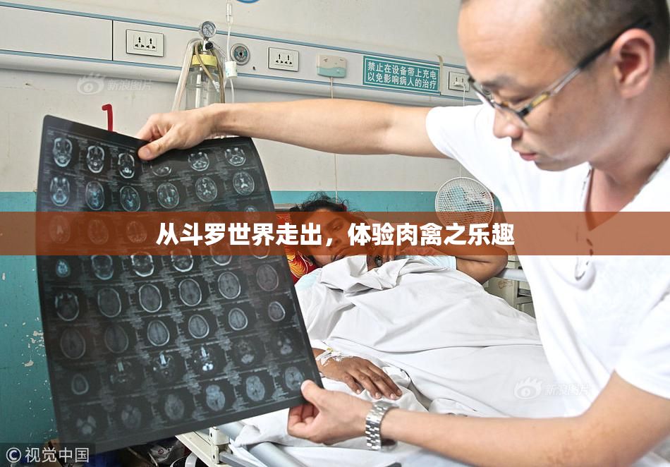 从斗罗世界走出，体验肉禽之乐趣