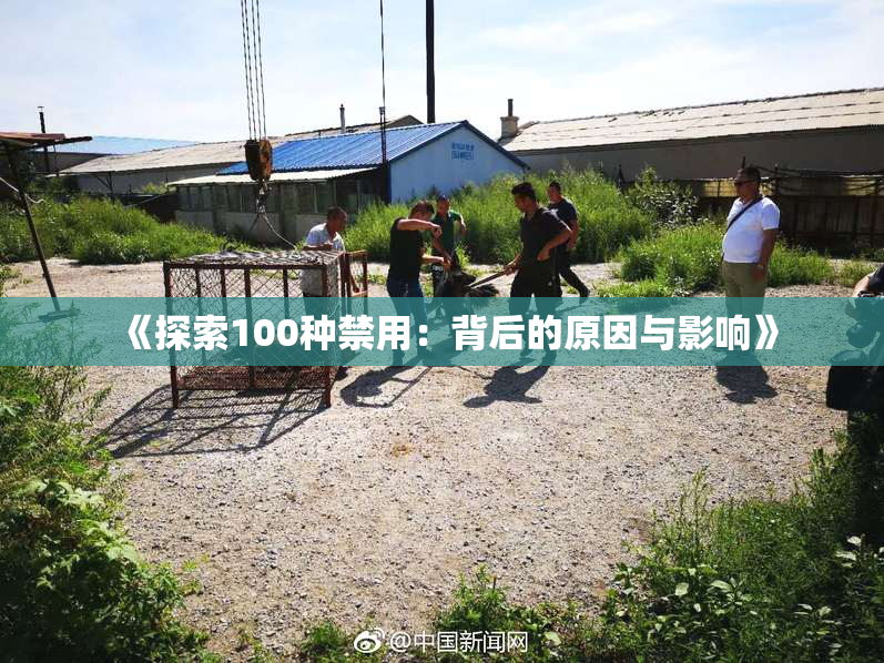 《探索100种禁用：背后的原因与影响》
