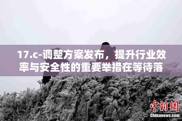 17.c-调整方案发布，提升行业效率与安全性的重要举措在等待落实。