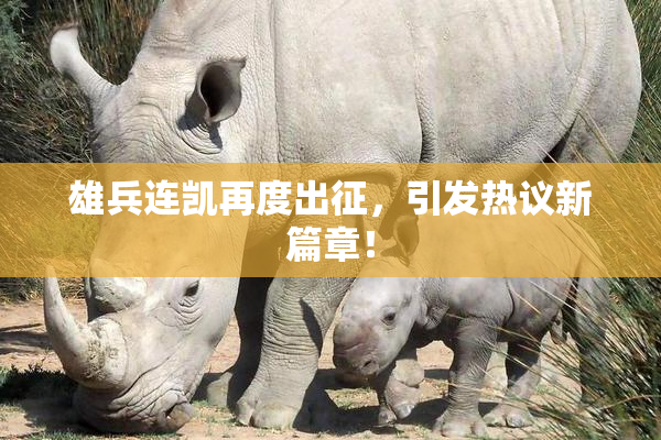 雄兵连凯再度出征，引发热议新篇章！