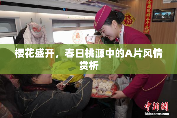 樱花盛开，春日桃源中的A片风情赏析