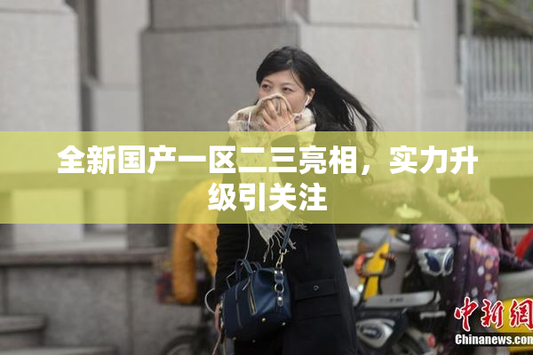 全新国产一区二三亮相，实力升级引关注