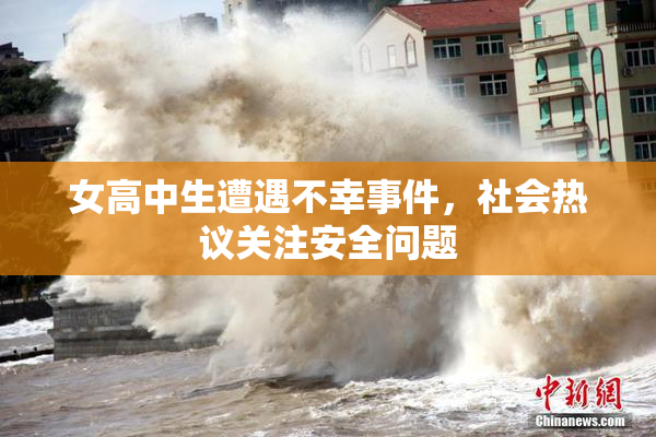 女高中生遭遇不幸事件，社会热议关注安全问题