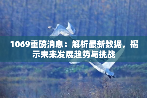 1069重磅消息：解析最新数据，揭示未来发展趋势与挑战