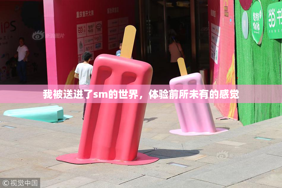 我被送进了sm的世界，体验前所未有的感觉
