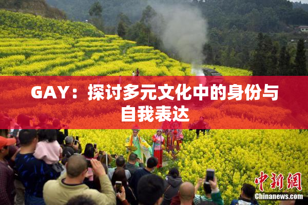 GAY：探讨多元文化中的身份与自我表达