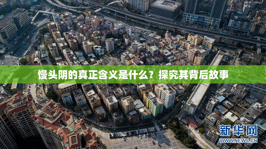 馒头阴的真正含义是什么？探究其背后故事