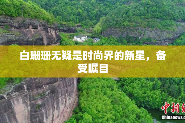 白珊珊无疑是时尚界的新星，备受瞩目