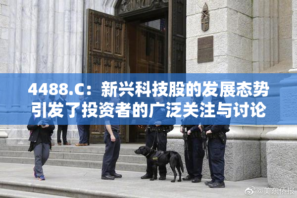 4488.C：新兴科技股的发展态势引发了投资者的广泛关注与讨论。