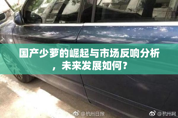 国产少萝的崛起与市场反响分析，未来发展如何？