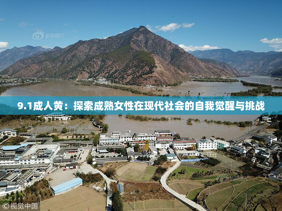 9.1成人黄：探索成熟女性在现代社会的自我觉醒与挑战