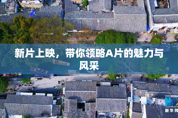 新片上映，带你领略A片的魅力与风采