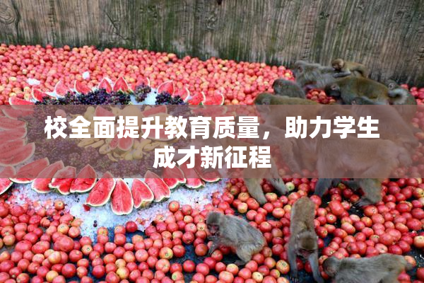校全面提升教育质量，助力学生成才新征程