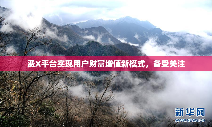 费X平台实现用户财富增值新模式，备受关注