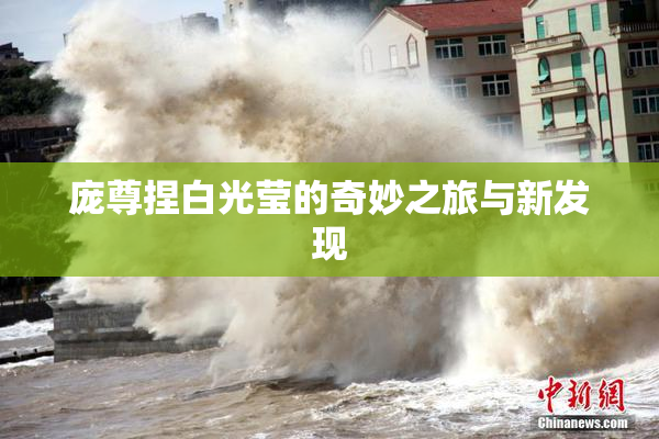 庞尊捏白光莹的奇妙之旅与新发现