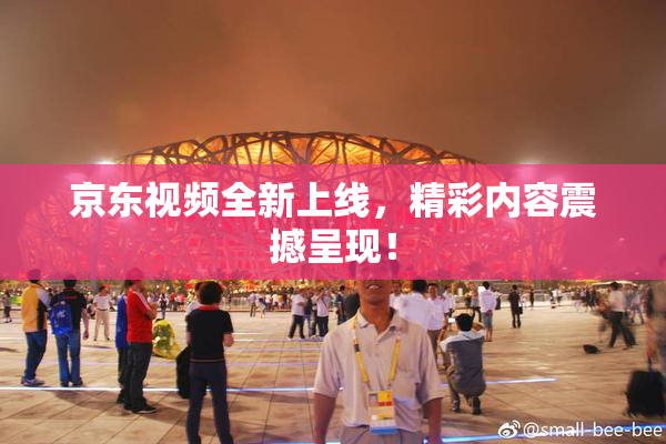 京东视频全新上线，精彩内容震撼呈现！