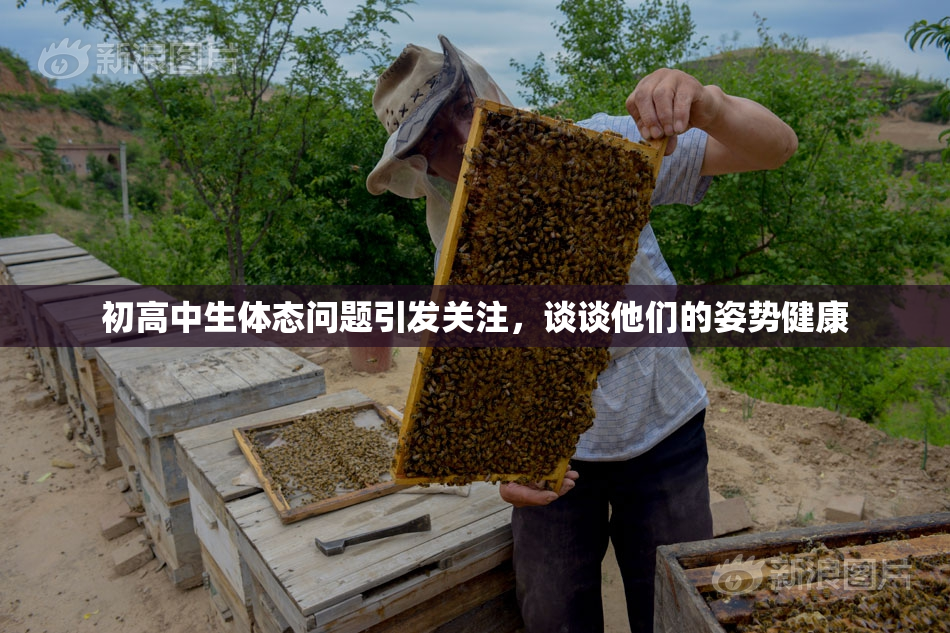 初高中生体态问题引发关注，谈谈他们的姿势健康