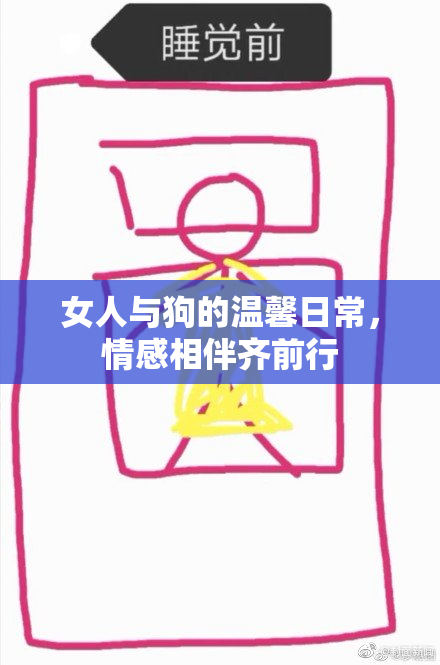 女人与狗的温馨日常，情感相伴齐前行